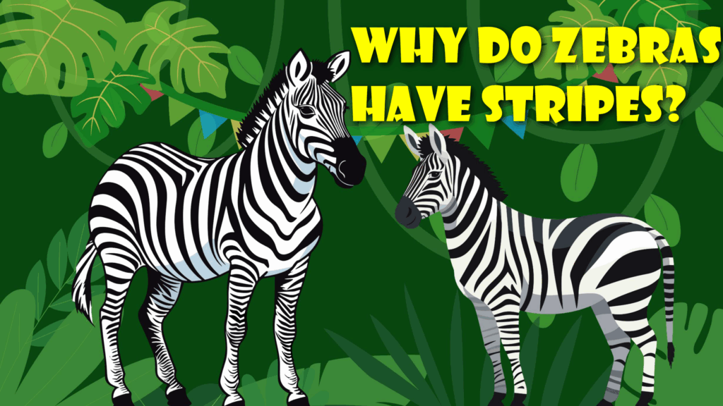 Thumbnail zebras